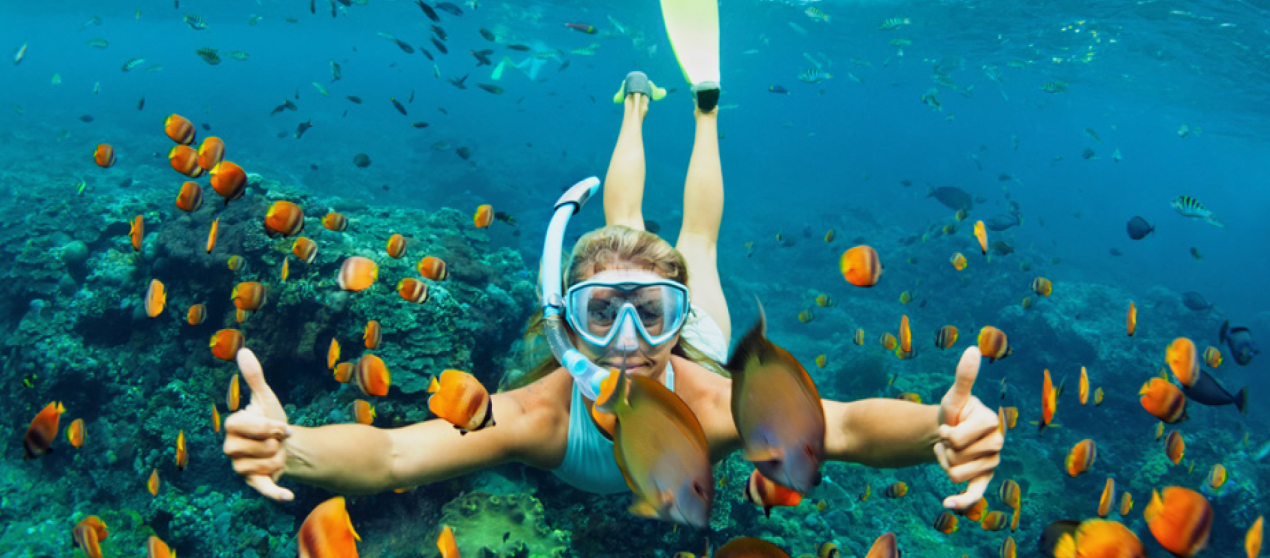 A snorkeling physician with a bunch of fish around them.